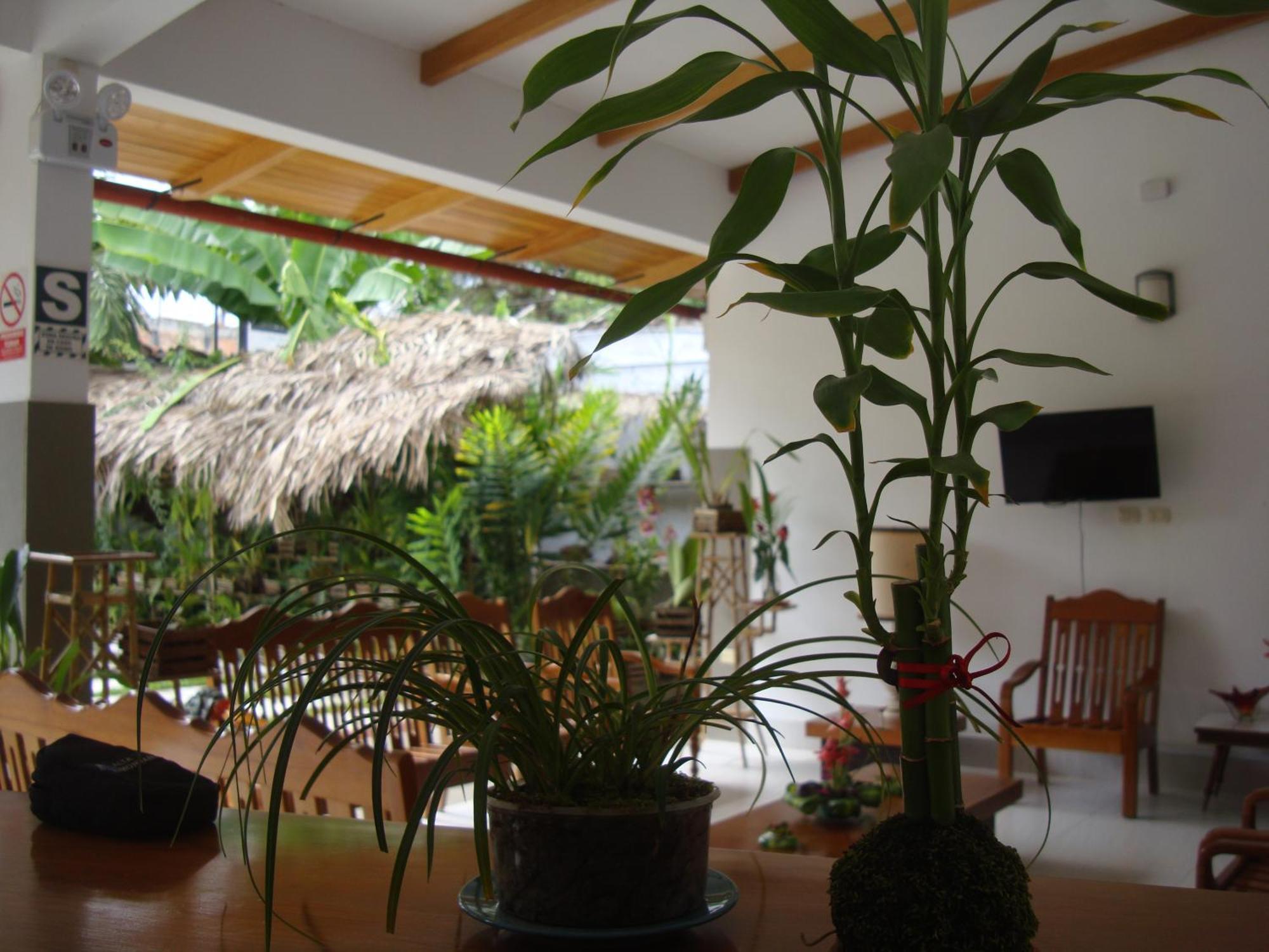Altavista Casahotel - Asociado Casa Andina Moyobamba Ngoại thất bức ảnh