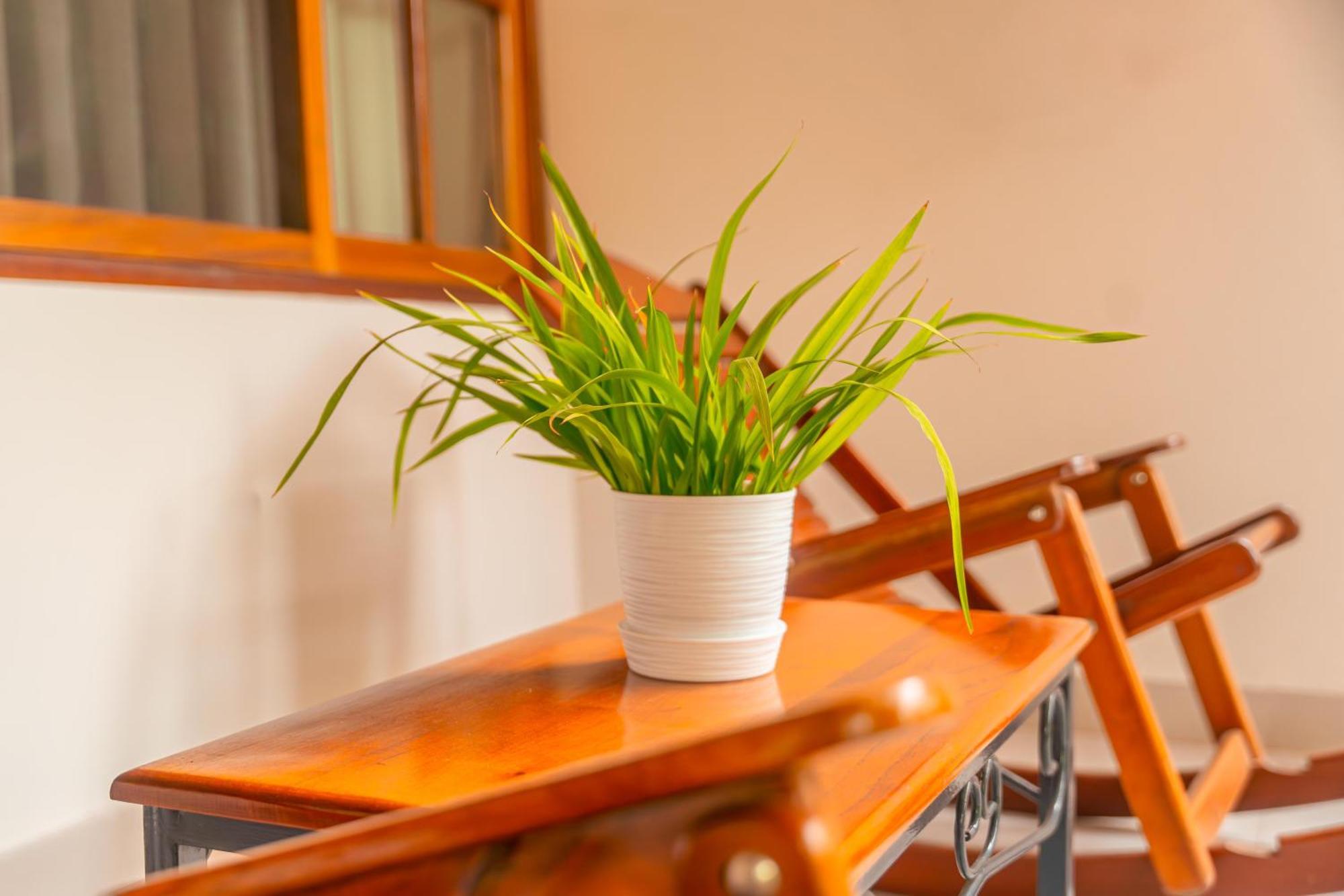 Altavista Casahotel - Asociado Casa Andina Moyobamba Ngoại thất bức ảnh
