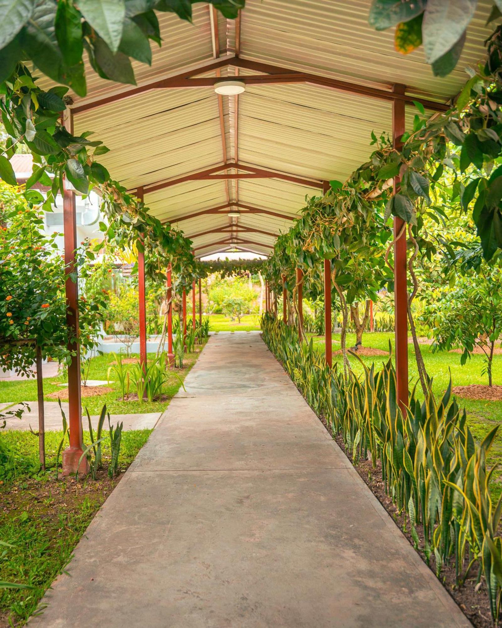Altavista Casahotel - Asociado Casa Andina Moyobamba Ngoại thất bức ảnh